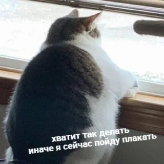 😅