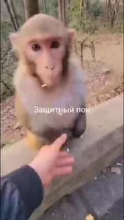 🧟