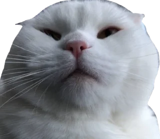 😠