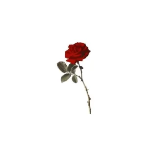 🥀