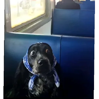 😶