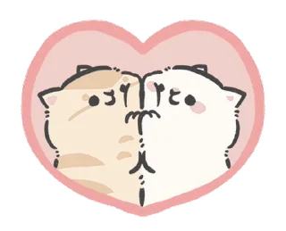 🐱