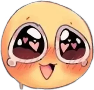 🌟