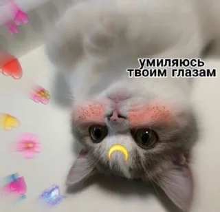 🙃