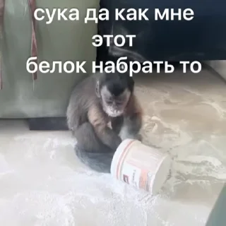 🌟