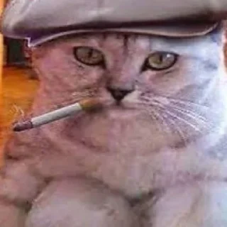 🚬