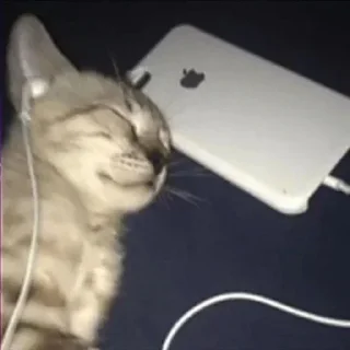 🎧
