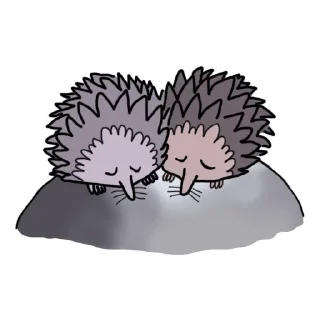 🦔