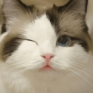 😏
