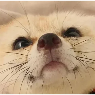 😌