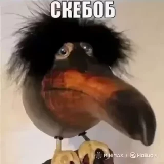 🥟