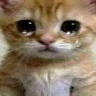 🥲