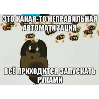 🐻