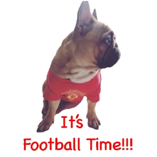 ⚽️