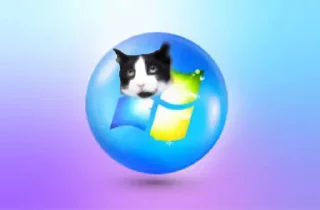 😻