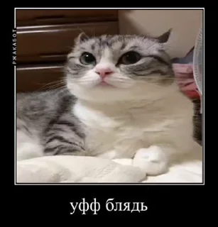 👍