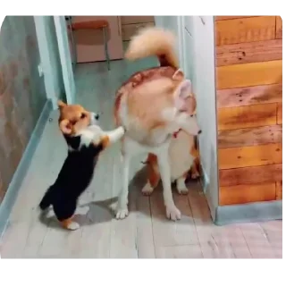 👍