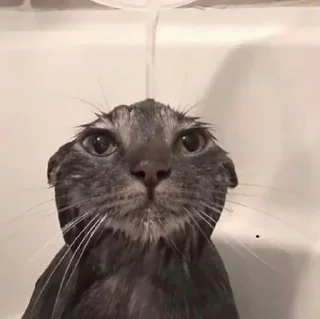 🚿
