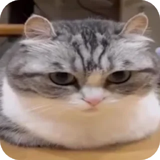 👍
