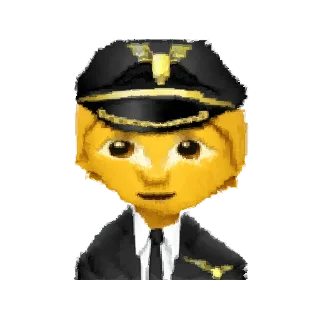 🧑‍✈️