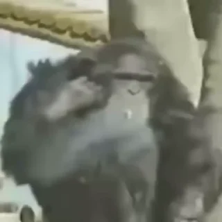 🚬