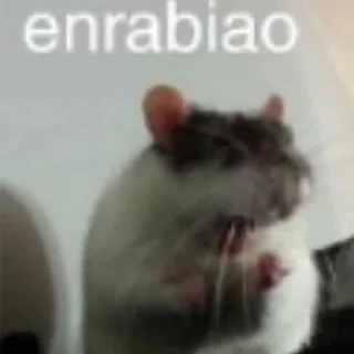 🐀