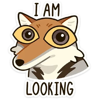 👀