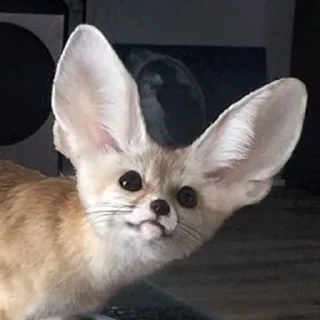 ❓