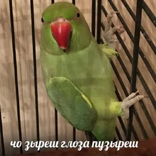 🙄