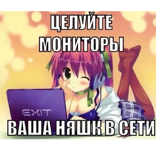 🖥️