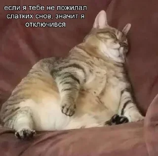 🌟