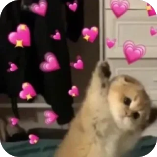 🫥