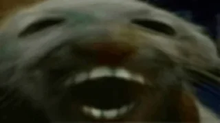 🤣