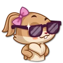 😎
