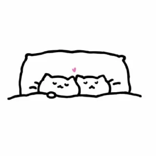 😴