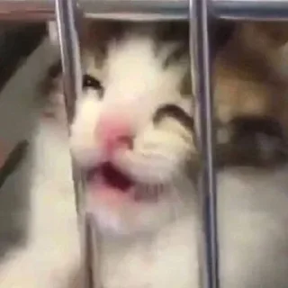 😖