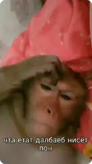 🤨