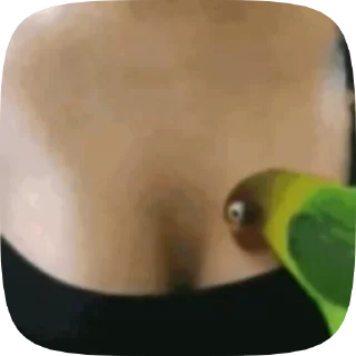 🍒