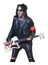 🎸