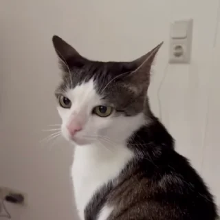 😮‍💨