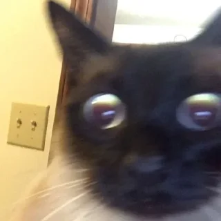 😯
