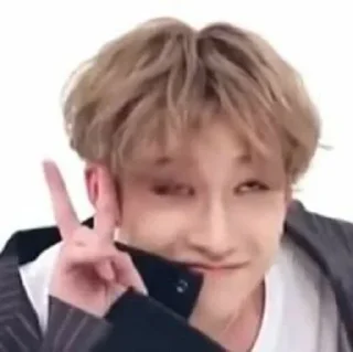 ✌