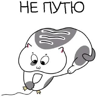 👏