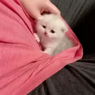💕