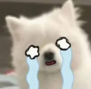 😭