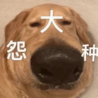 👀