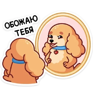 🪞