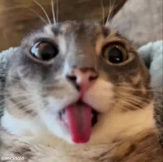 😳