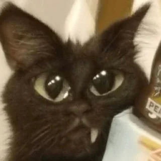 🙂