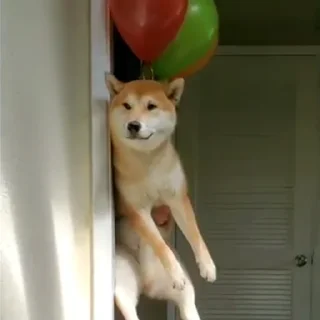 🎈